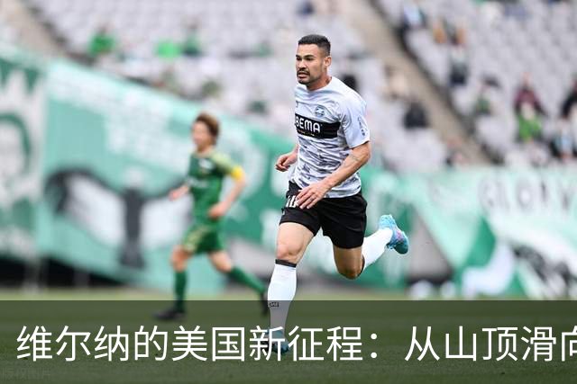 维尔纳的美国新征程：从山顶滑向海滩的老将